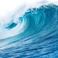 Notas marinas