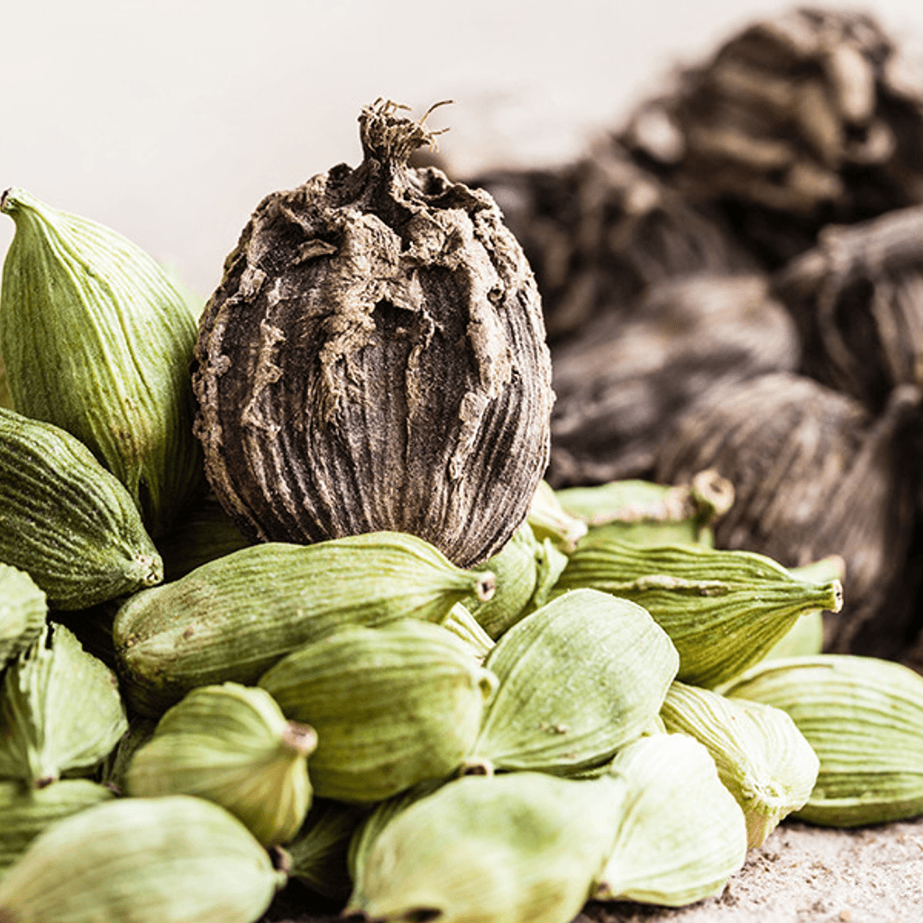 Cardamomo
