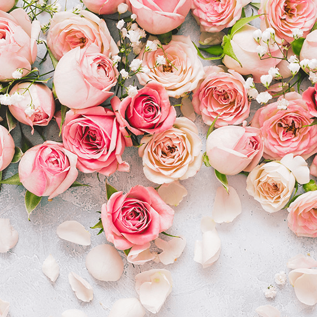 Notas florales